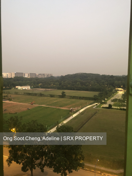 Blk 687B Woodlands Drive 75 (Woodlands), HDB 4 Rooms #338924701